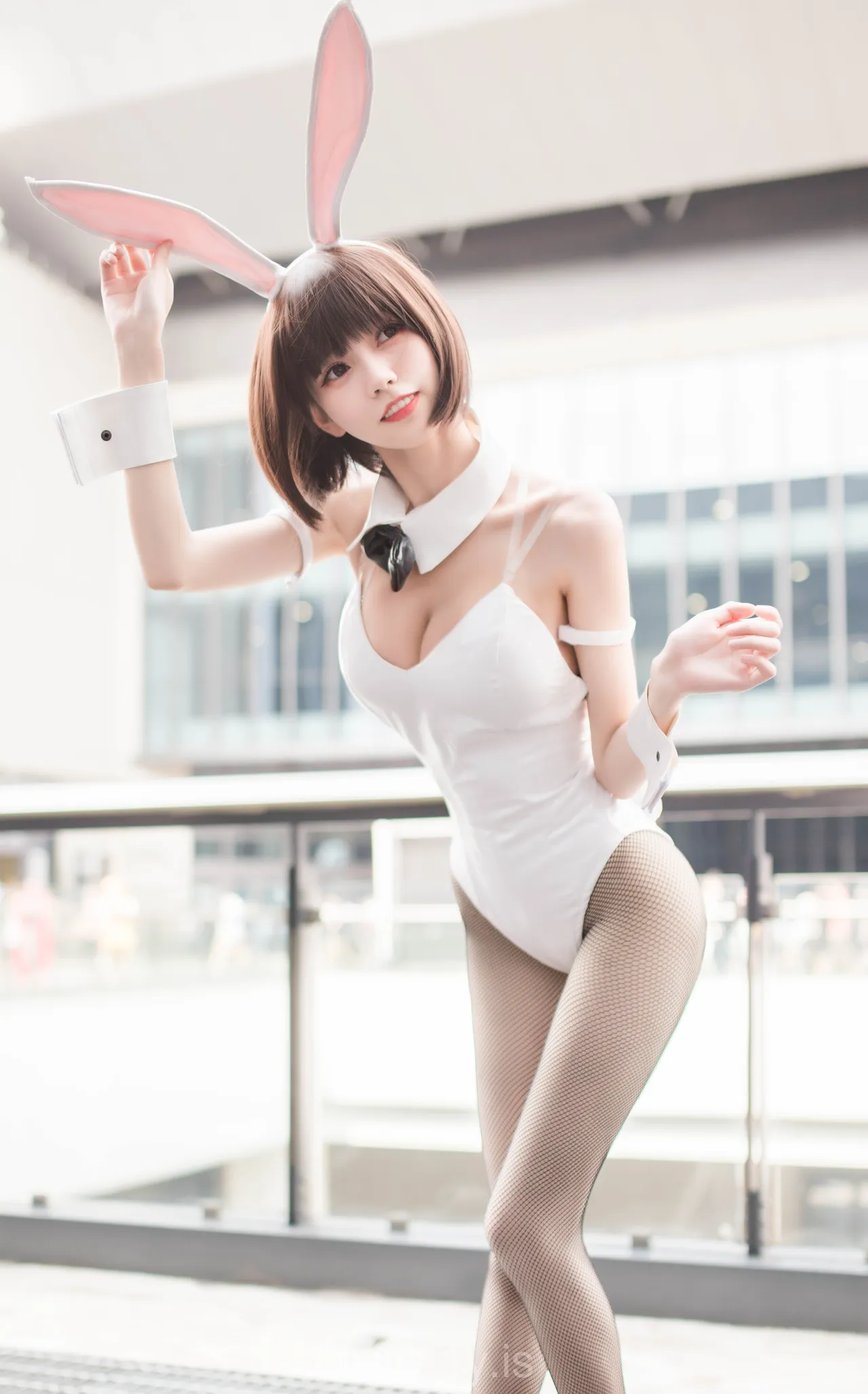 你的负卿 圣人惠兔女郎